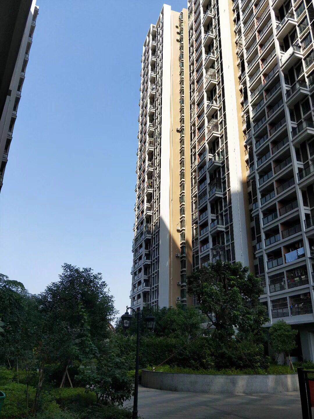 沙井村委统建楼