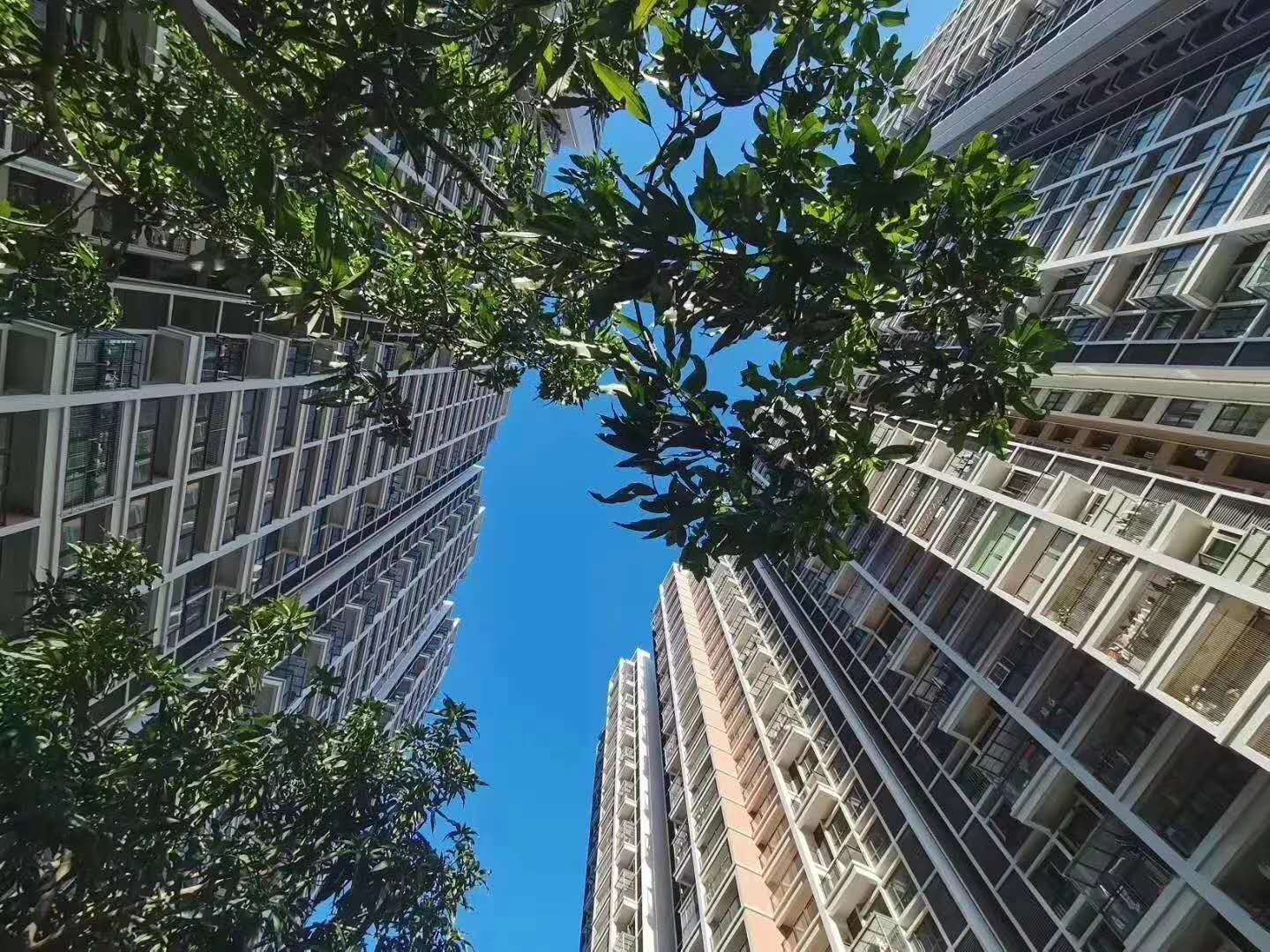 沙井村委统建楼【中泰花园】沙井海岸城旁28500一平(图3)