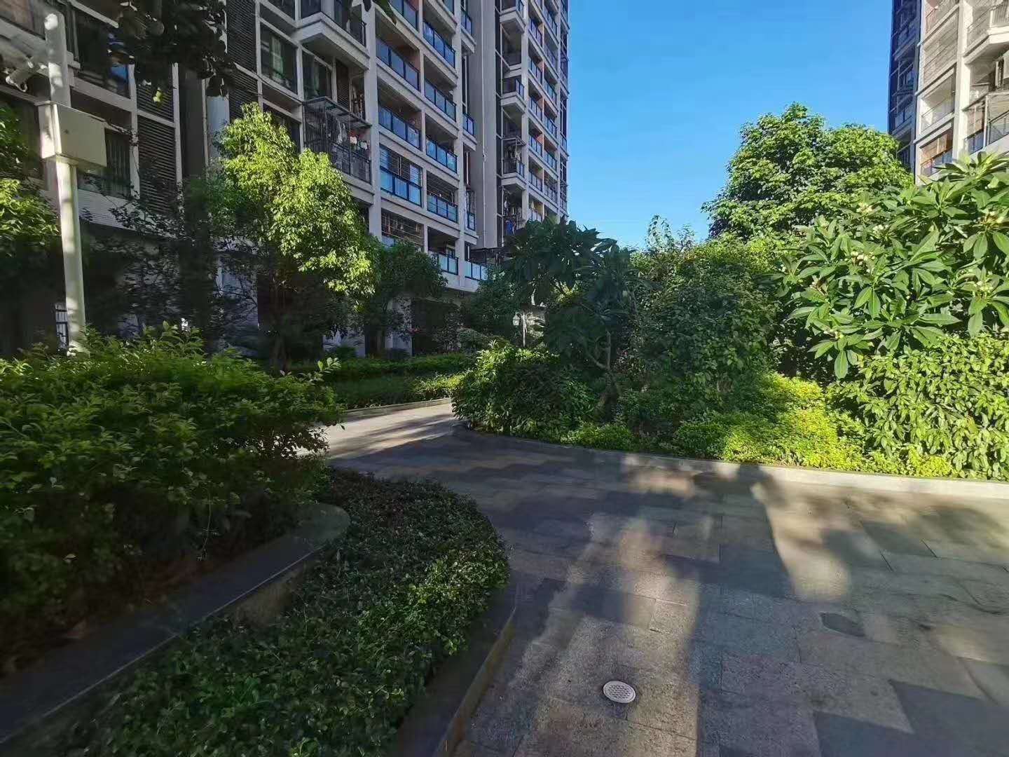 沙井村委统建楼【中泰花园】沙井海岸城旁28500一平(图5)
