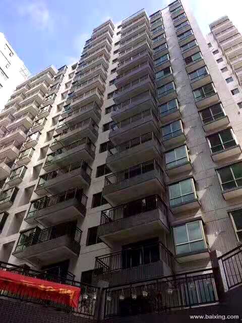 惠州新圩村委统建楼【山水花园】4栋花园小区(图4)