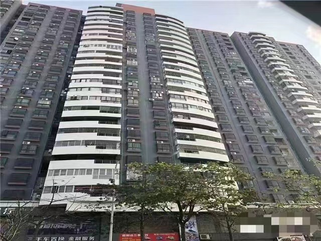 坂田村委统建楼【富豪花园】3栋花园发绿本可落户口(图3)