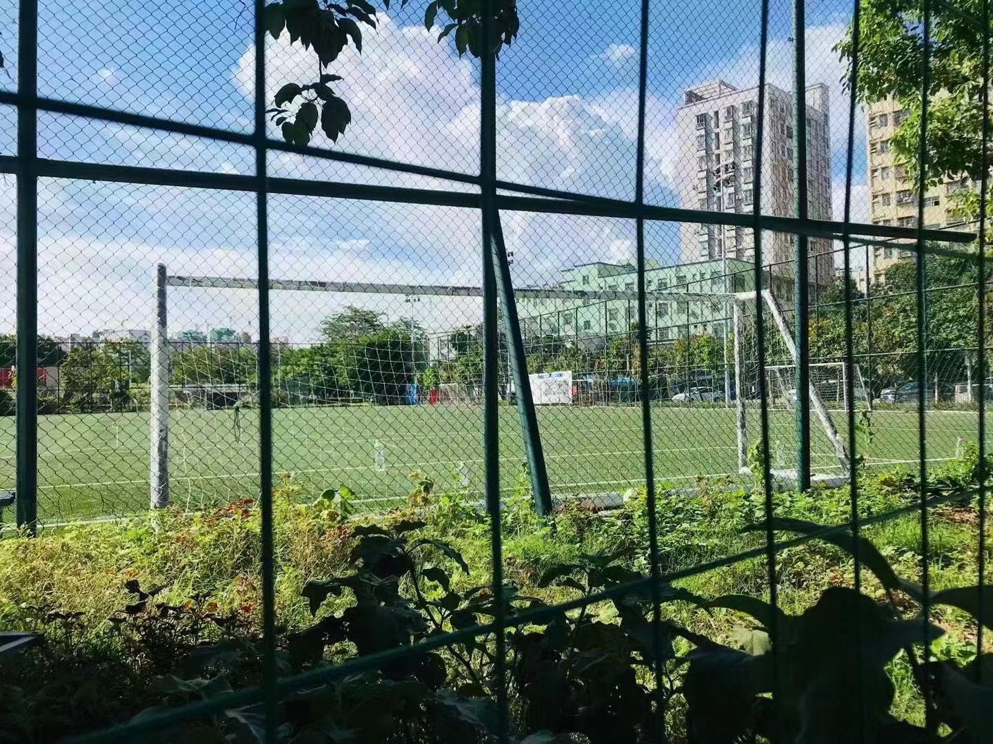 沙井3栋社区【新富公馆】可落户读公立学校36.3万一套(图4)