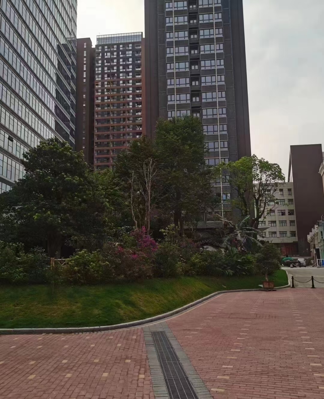 龙华大浪花园房【华府九号】首付35万起分期十年(图3)