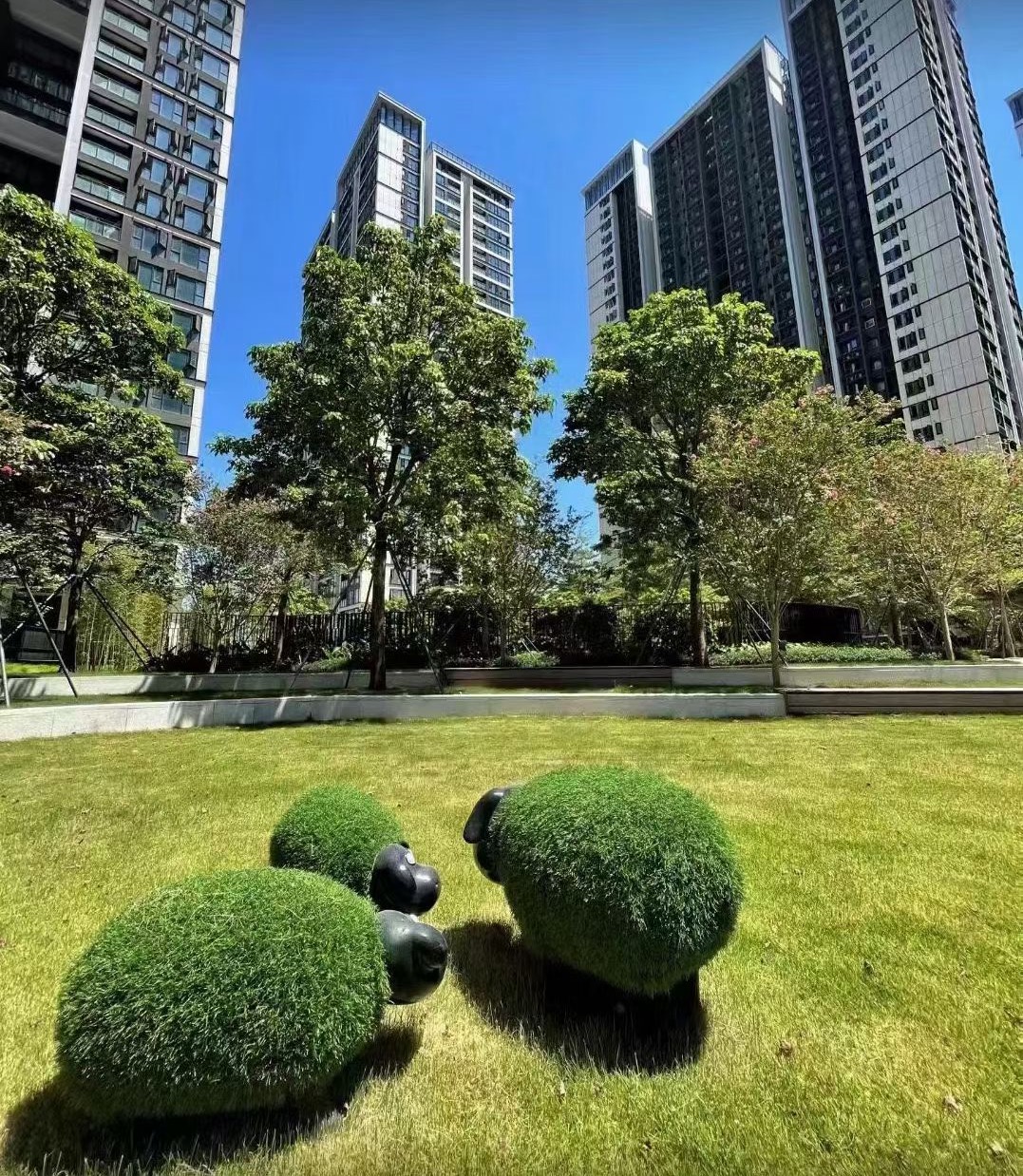 沙井红本房降1.4万一平【会展湾名座】近地铁口12栋花园(图5) 沙井红本房降1.4万一平【会展湾名座】近地铁口12栋花园(图5)