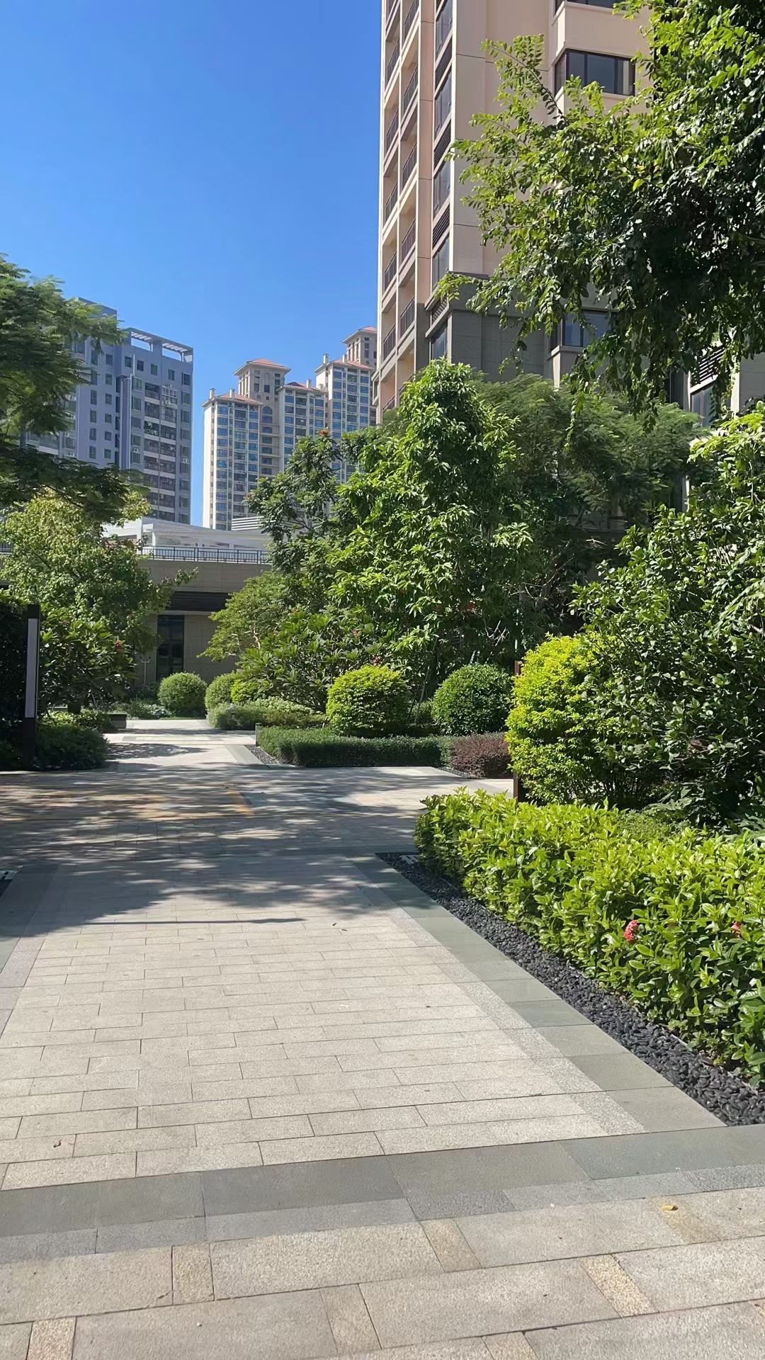 坂田统建楼两房首付88万【雪象小筑】近华为基地3栋花园(图3)