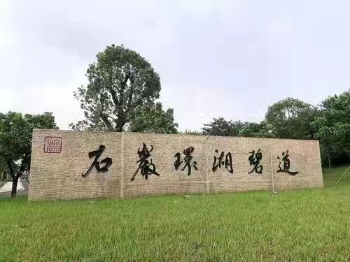 一站到南山【陌尚花园】石岩料坑6栋社区首付24万起(图10)