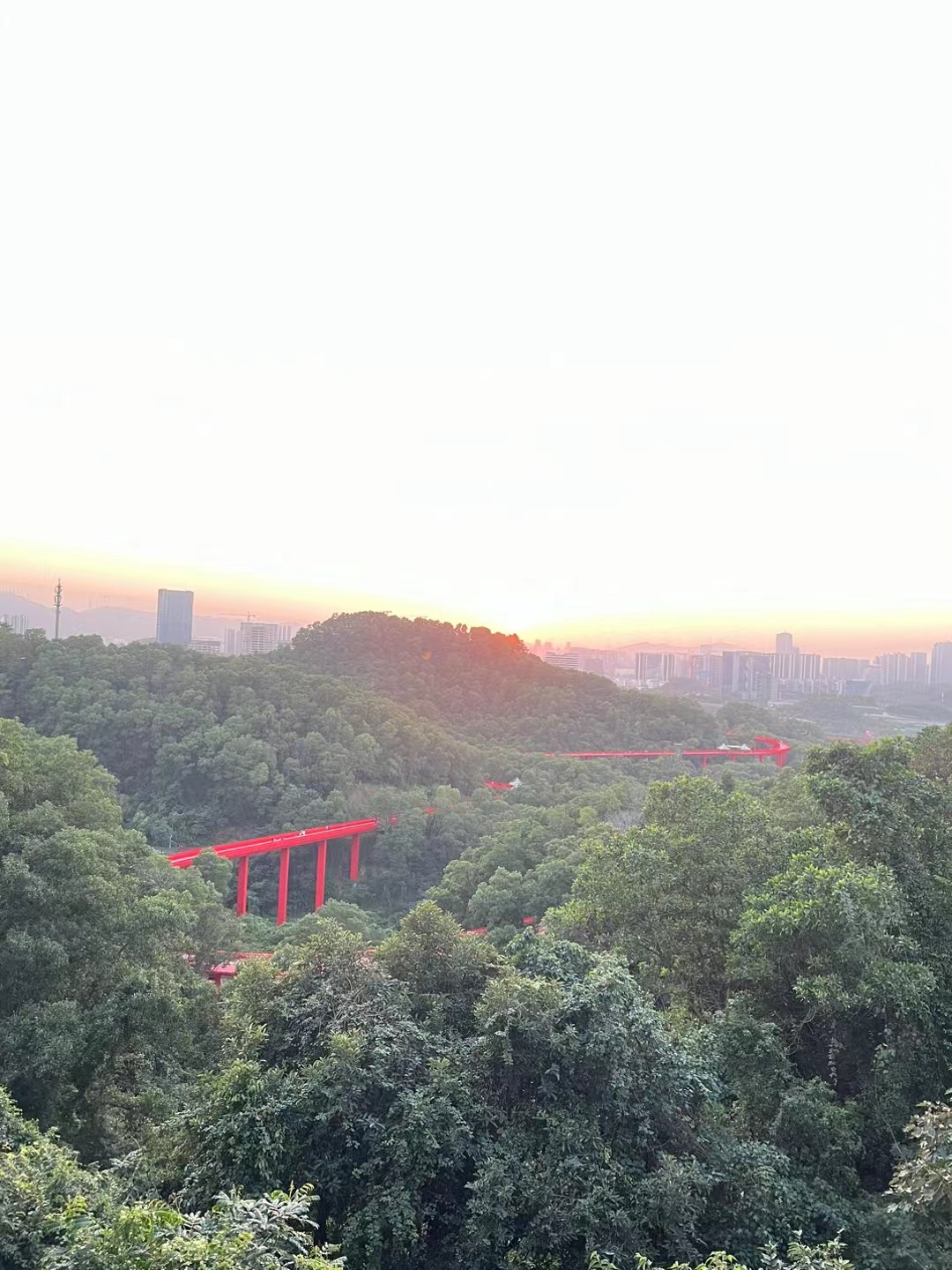 统建楼当白菜价卖【绣丽富仁居】光明8栋花园8980一平起(图8) 统建楼当白菜价卖【绣丽富仁居】光明8栋花园8980一平起(图8)