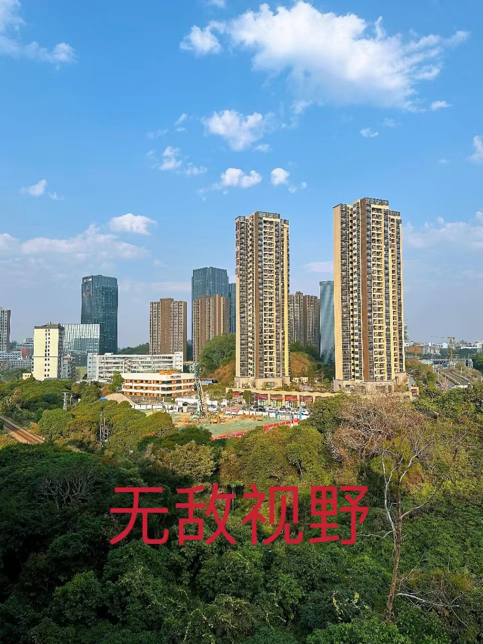 十号线坂田北站【坂田雅苑】精装单间首付9万一套起(图2)