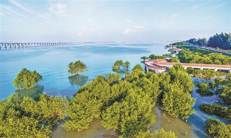 固戍两房首付28万起【红树林家园】西湾红树林公园(图2)